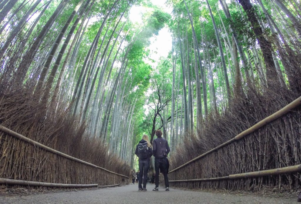 Arashiyama Bamboo Grove ajourneylife